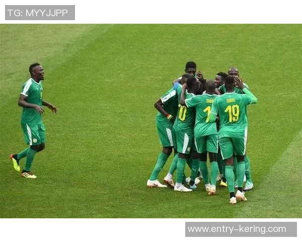 坦桑尼亚与阿尔及利亚足球对决战术分析与球队状态评估