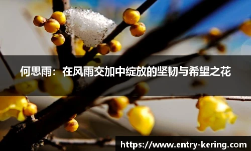 开云app